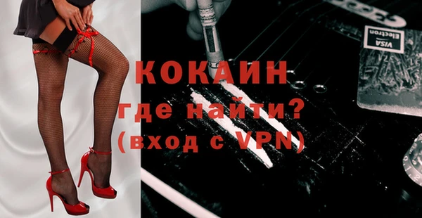 крисы Алексин