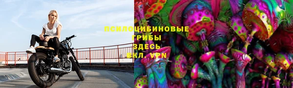 метамфетамин Алексеевка