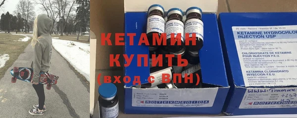 крисы Алексин