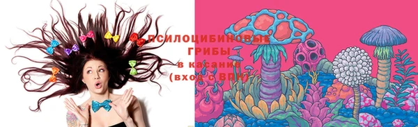 крисы Алексин