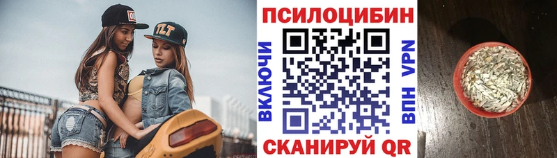 Галлюциногенные грибы Psilocybine cubensis Белебей