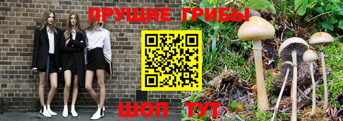 Псилоцибиновые грибы Cubensis Белебей