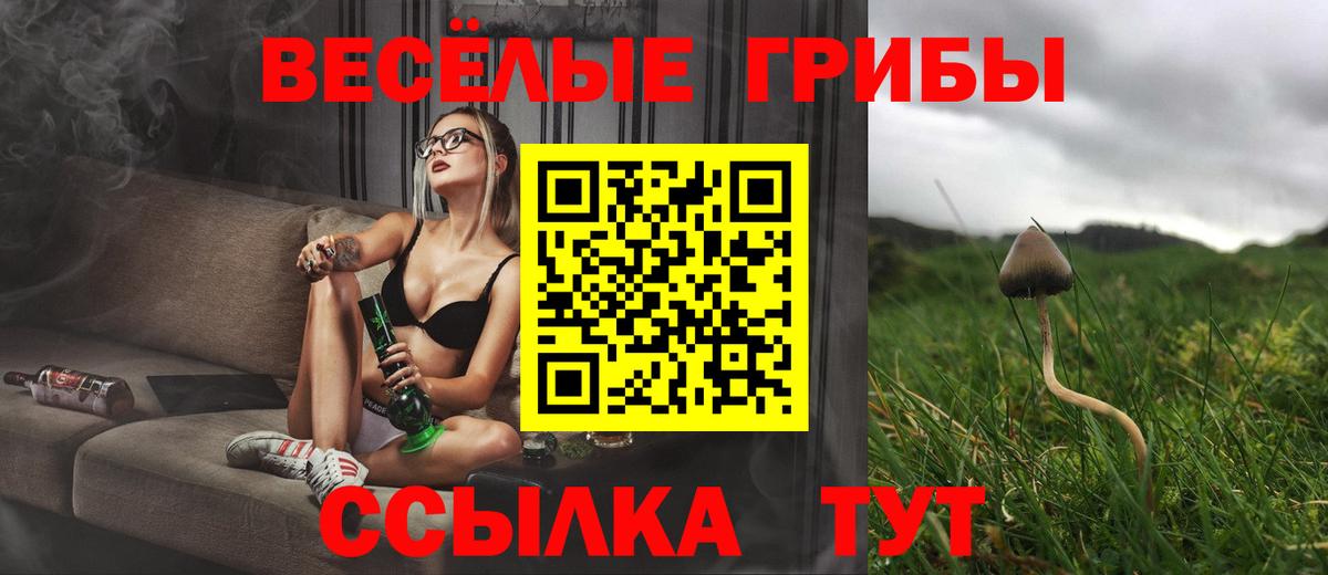 Псилоцибиновые грибы Psilocybine cubensis  Вход с VPN  Белебей 